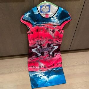 Ted Baker Short sleeve print dress